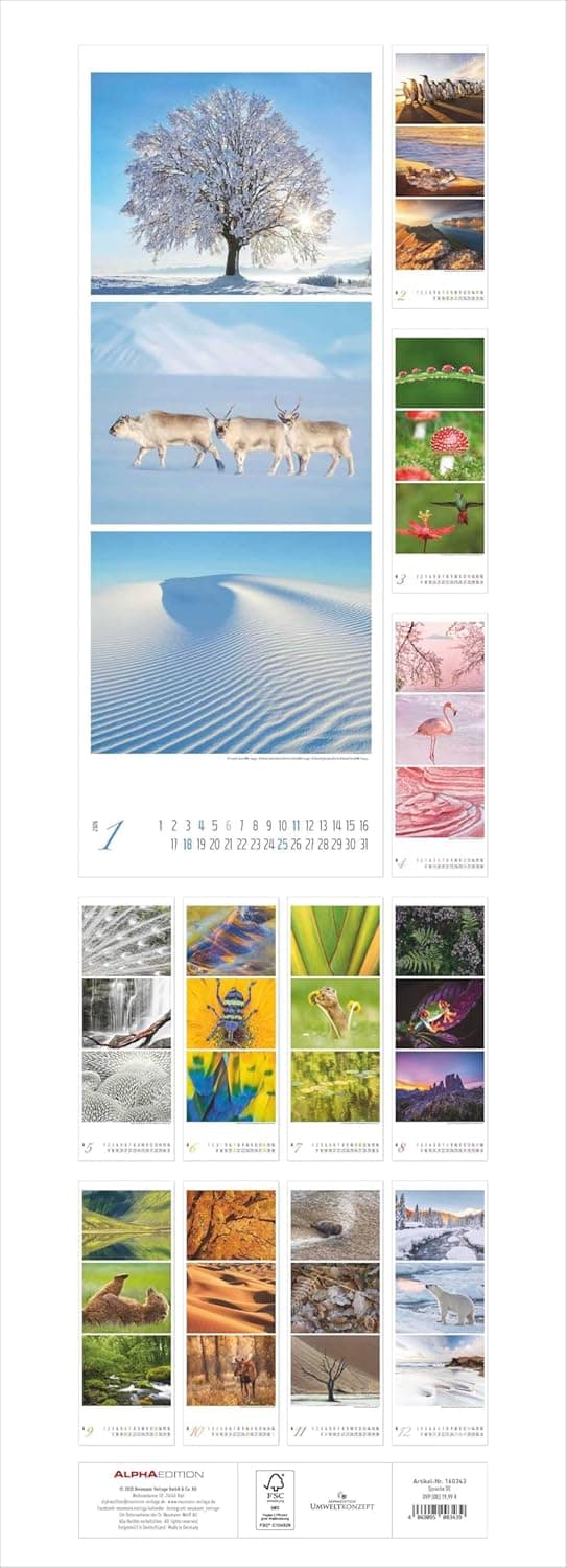 Detalle 2 de Alpha Edition Colours of Nature – Triplets Kalender 2026 (Wandkalender XXL 25×69 cm)