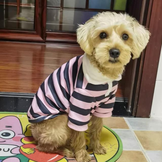 Thumbnail 3 de AgoumLux Hundeshirt Rosa XL