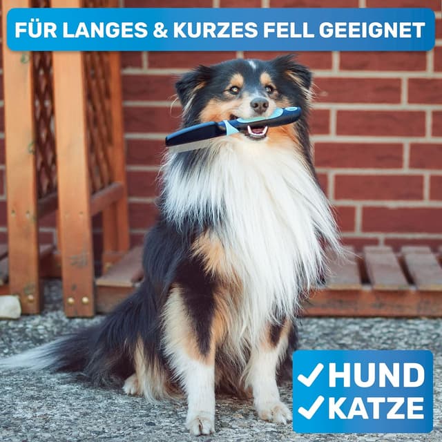 Detalle 2 de BluePet Robuster Flohkamm & Läusekamm für Hunde & Katzen – robuster Kamm mit abgerundeten Zinken (Floh-, Läuse- und Nissenkamm)