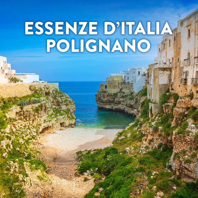 Detalle 2 de Lenor Ammorbidente Concentrato Essenze d’Italia – Polignano, note di Lillà e Calendula (440 lavaggi, 8x55)