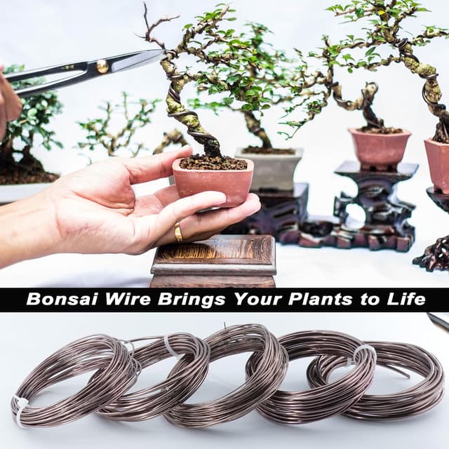 Thumbnail 4 de Filo Bonsai Alluminio 50 m