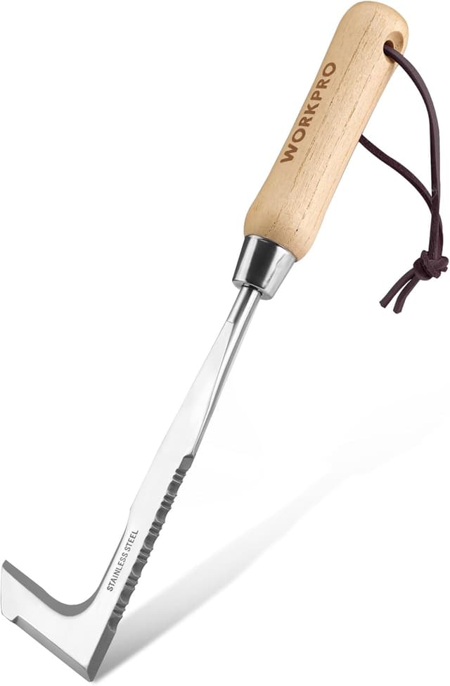 Detalle de WORKPRO Fugenkratzer 31,5 cm mit Holzgriff – Unkrautstecher & Fugenreiniger mit gezackter Kante