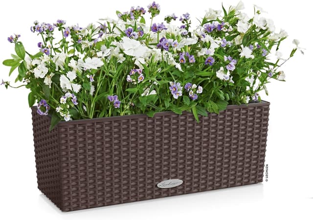 Thumbnail 1 de Lechuza BALCONERA Cottage 50 Pflanzgefäß