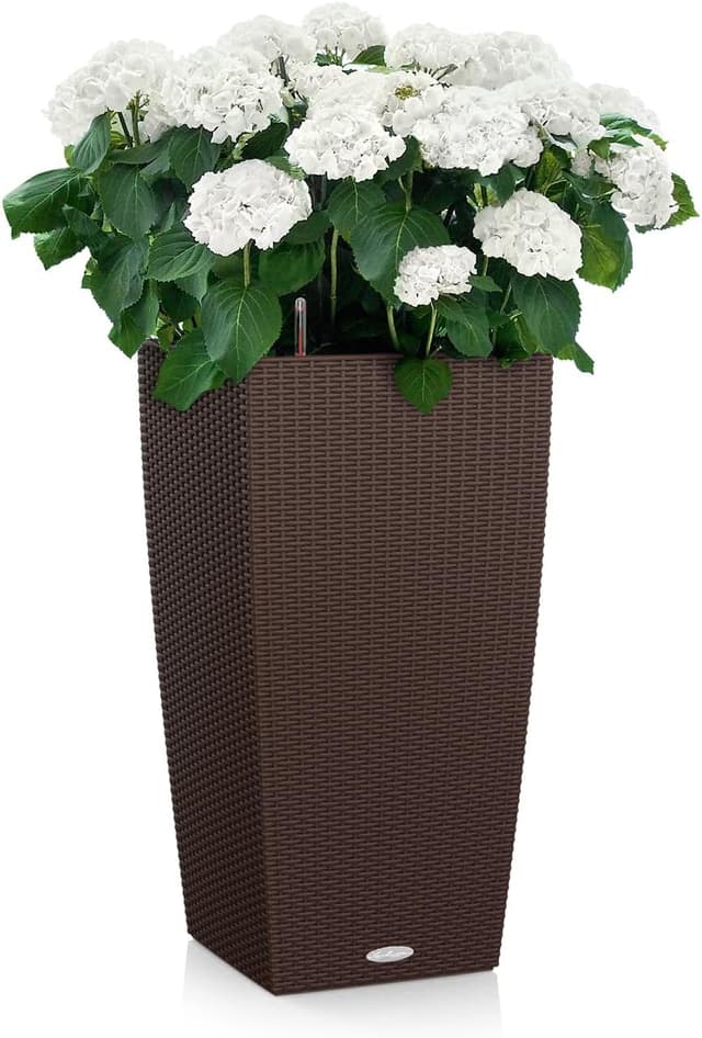 Thumbnail 1 de Lechuza Cubico Cottage 40 moka 15245