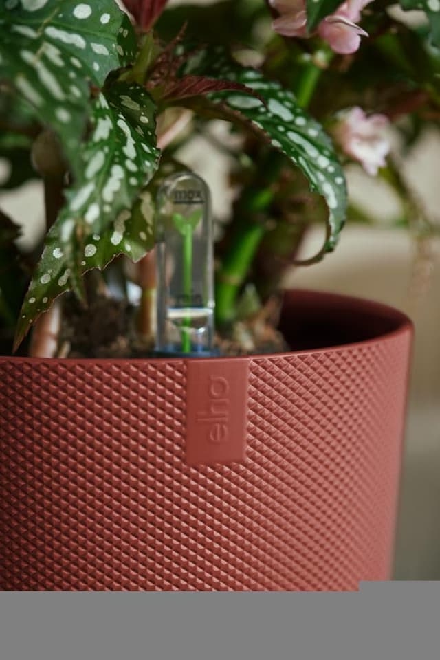 Thumbnail 8 de Elho Jazz Round 26cm 🌱 Maceta Grande Interior Reciclada Roja