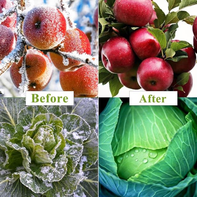 Detalle 1 de 3x garden fleece frost protection 15m