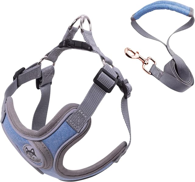 Detalle 2 de Wocharm Breathable Dog Harness with Leash