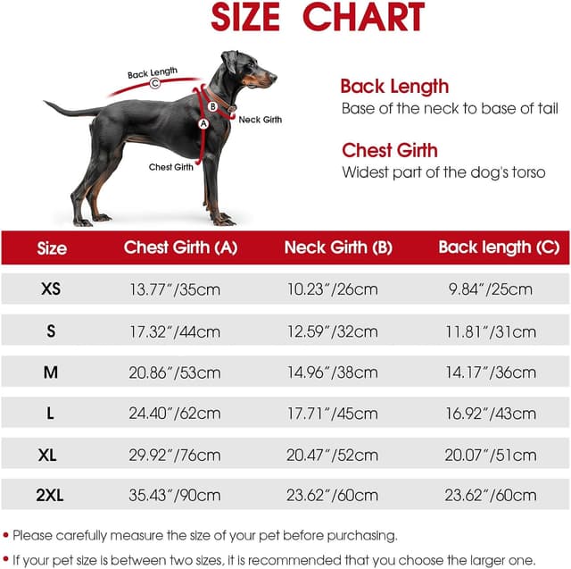 Detalle de CITÉTOILE Hundejacke wasserdichter Hundemantel mit reflektierenden Streifen, Wintermantel mit Reißverschluss (Rot, M)