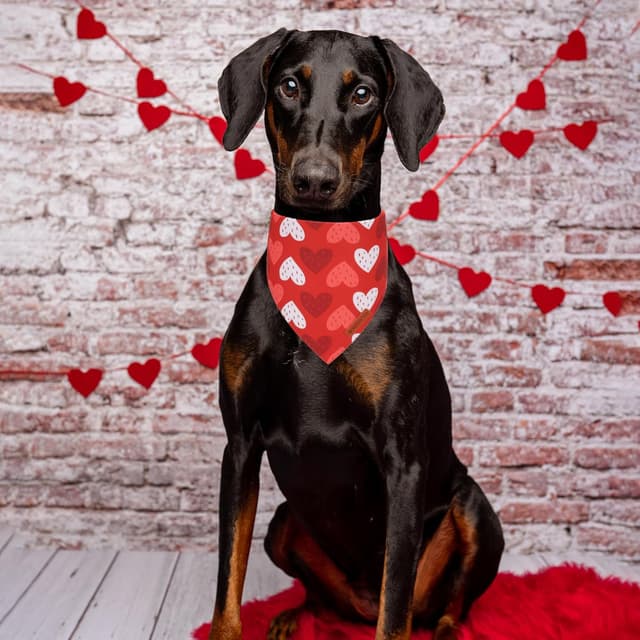 Thumbnail 1 de ADOGGYGO Valentine Dog Bandana Large ❤