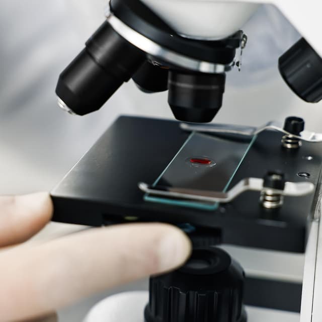 Thumbnail 4 de 50 Stück Mikroskop Objektträger 100 Deckgläser