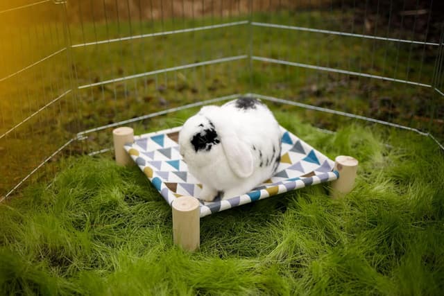 Detalle 2 de Kerbl 81811 Hammock for Rodents