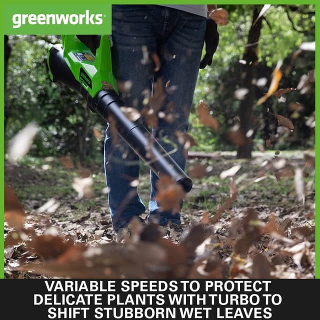 Detalle de Greenworks G40ABK2 Cordless Leaf Blower with Cruise Control (40V 2Ah)