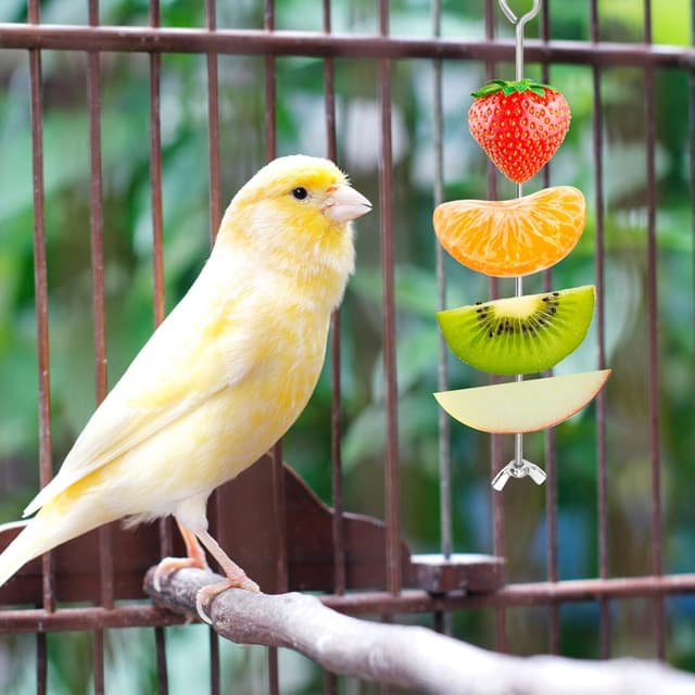 Detalle de Huhn Gemüse Spießgemüse Hängende Feeder – Futterspender für Obst & Gemüse (2 Spieße + 2 Beutel)