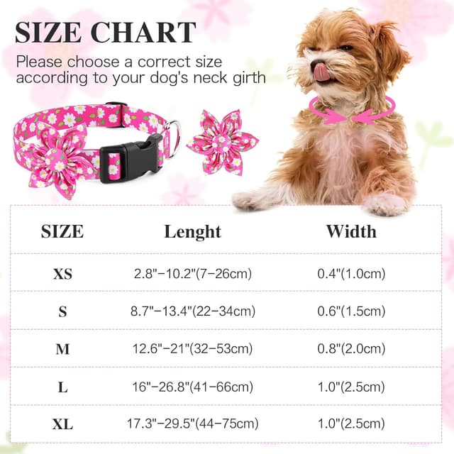 Detalle de BiPawTi Medium Pink Flower Dog Collar with Bloom Decoration (Pink, M)