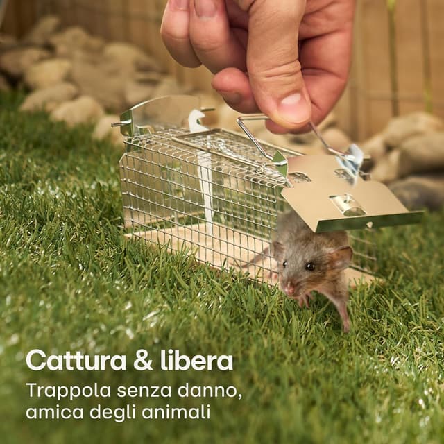 Detalle 2 de Praknu Trappola per topi viva 4 pezzi 🐭