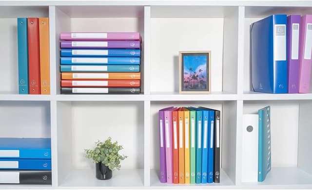 Detalle de Exacompta Classeur 4 anneaux 30 mm dos 40 mm en PP rigide A4 maxi, vert