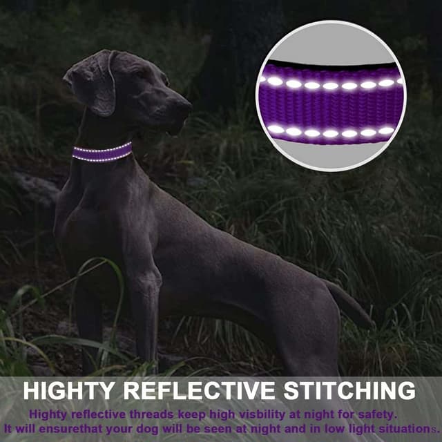 Detalle 1 de ATETEO reflective adjustable dog collar with soft neoprene padding (nylon, quick-release, metal D ring)