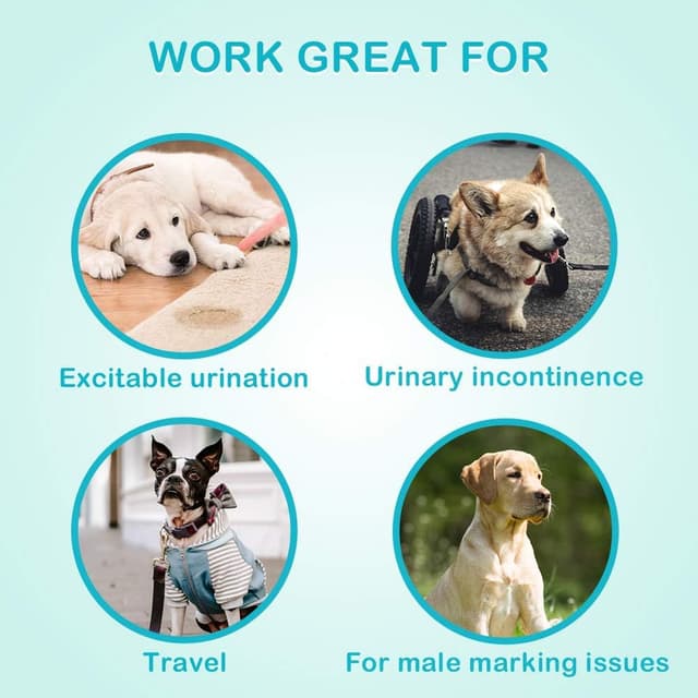 Detalle de Flying Paws Male Dog Nappies M-22