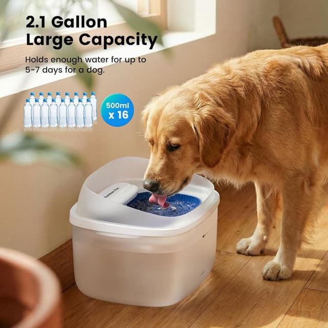 Thumbnail 1 de Gardner Pet 8L Automatic Pet Water Fountain