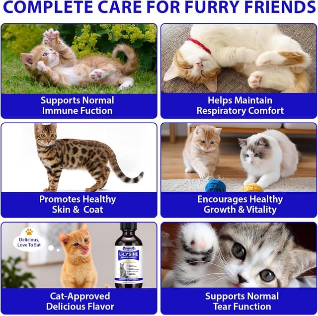 Thumbnail 3 de Goccia Lysin per gatti 60ml supporto immunitario