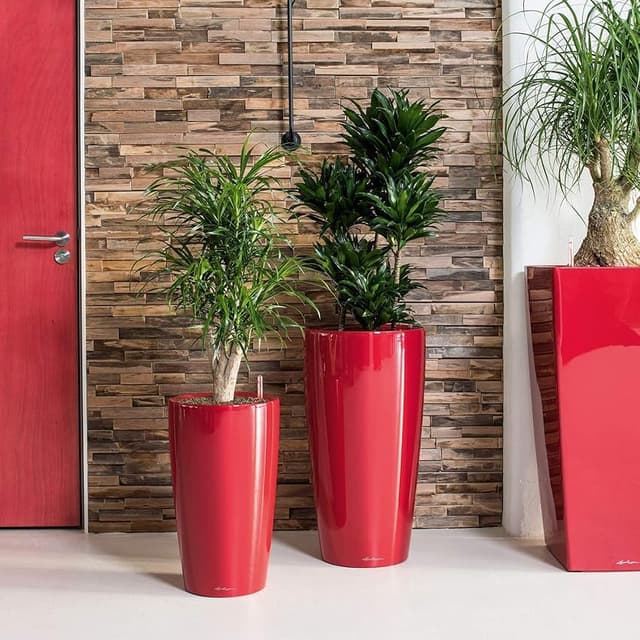 Thumbnail 4 de Lechuza Rondo Premium maceta 40 x 75 cm