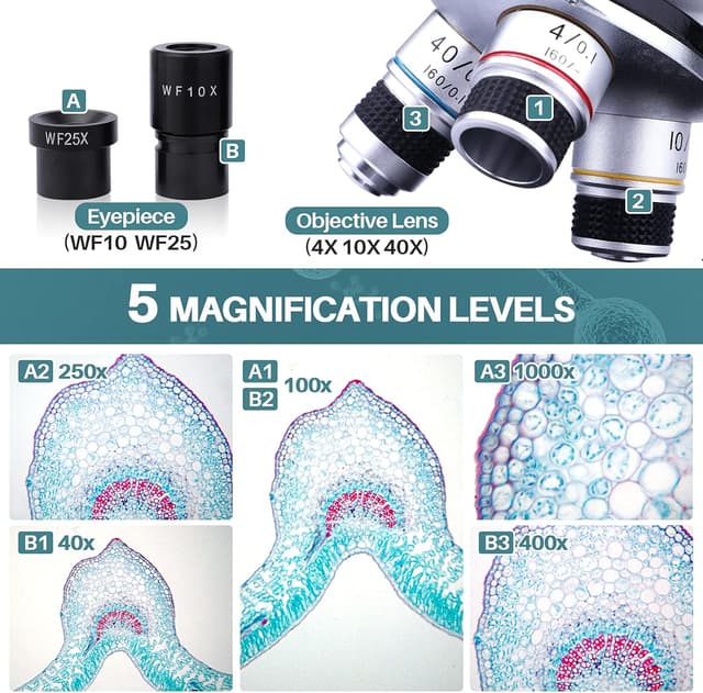 Detalle de MAXLAPTER microscopio binoculare composto 40X–1000X per adulti e bambini, doppio LED e kit scuola