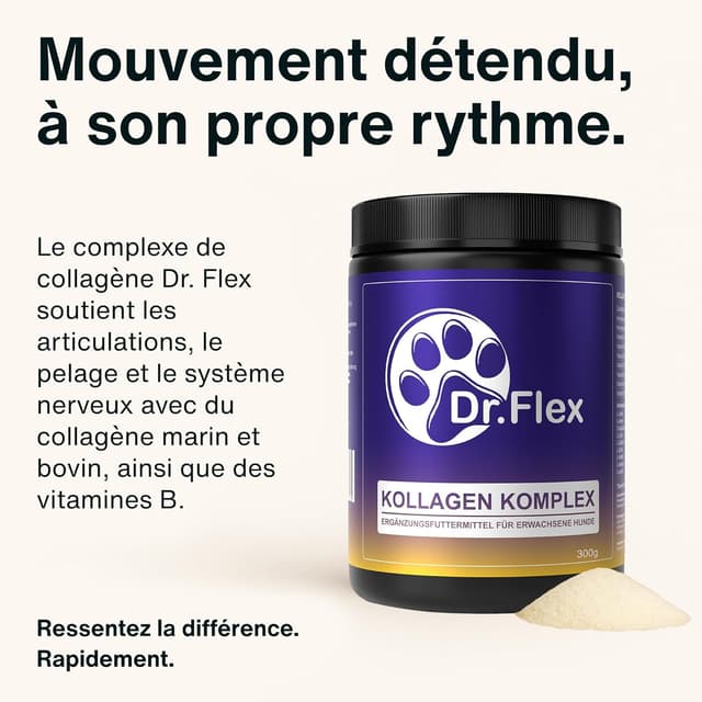 Detalle de Dr. Flex Complexe Collagène & Vitamines B pour chien en poudre 300 g
