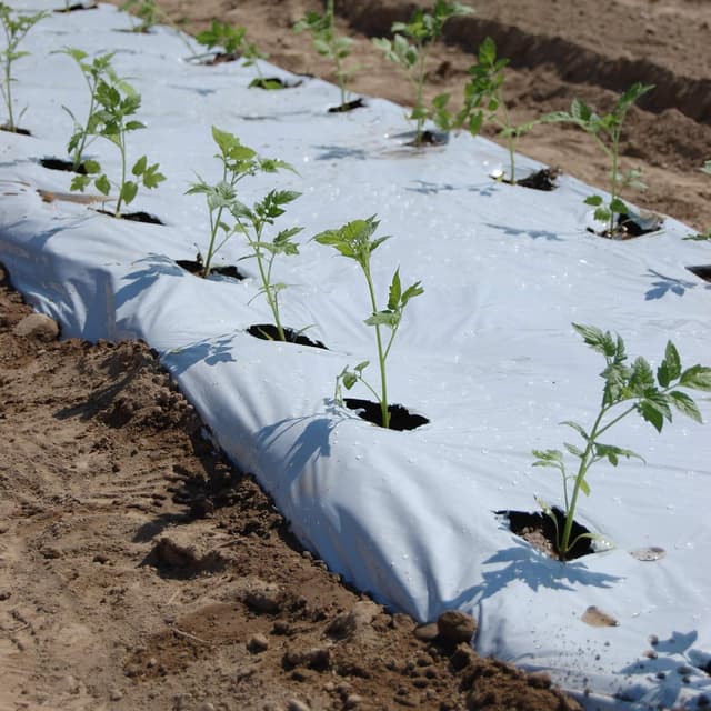 Thumbnail 3 de TENAX Black White Cover 1,40x10 m Film antierbacce