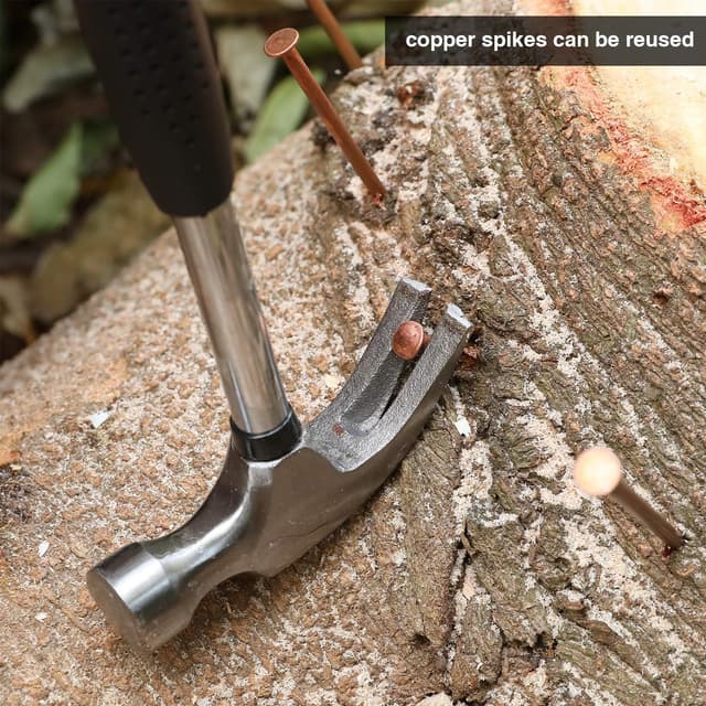 Thumbnail 6 de Frienda 20 chiodi in rame e acciaio da 8,9 cm per rimozione ceppi e tronchi (con scatola portaoggetti)