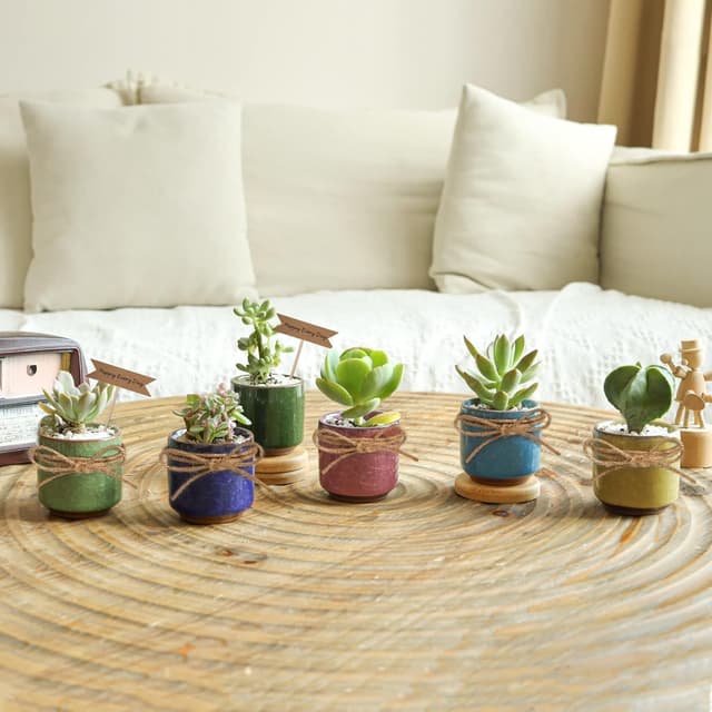 Detalle de T4U set da 6 mini vasi in ceramica da interno con sottovaso (apertura 6 cm)