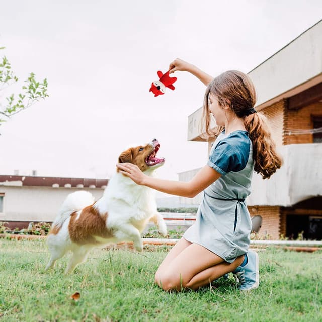 Thumbnail 6 de LEGEND SANDY Quietscher-Welpen-Spielzeug-Set (12-teilig) für kleine & mittlere Hunde – geeignet zum Zahnen