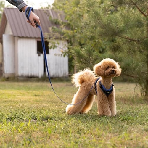 Thumbnail 1 de Ferplast ERGOCOMFORT G15/120 Correa para Perros, Azul 🐾