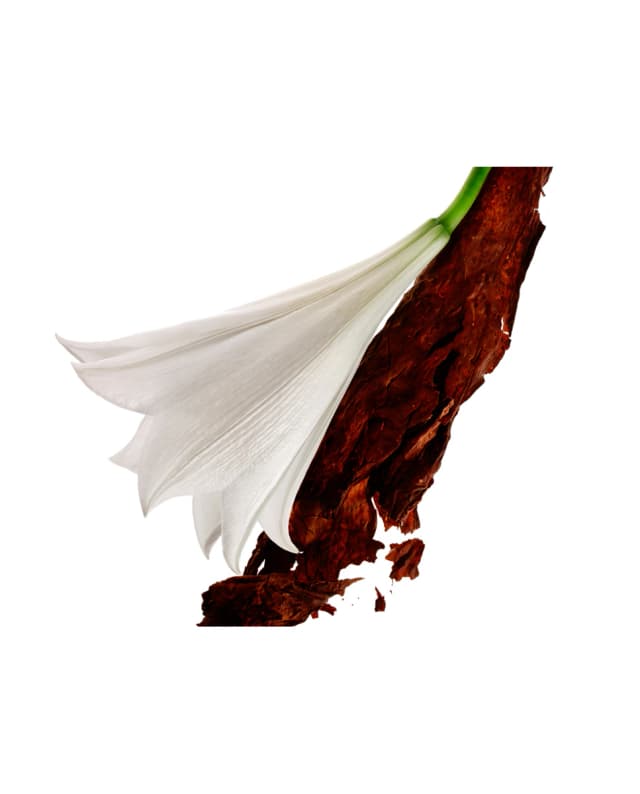 Thumbnail 2 de Yves Saint Laurent Mon Paris Eau de Parfum 90 ml