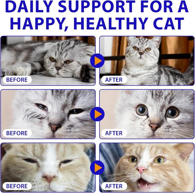 Thumbnail 6 de Goccia Lysin per gatti 60ml supporto immunitario