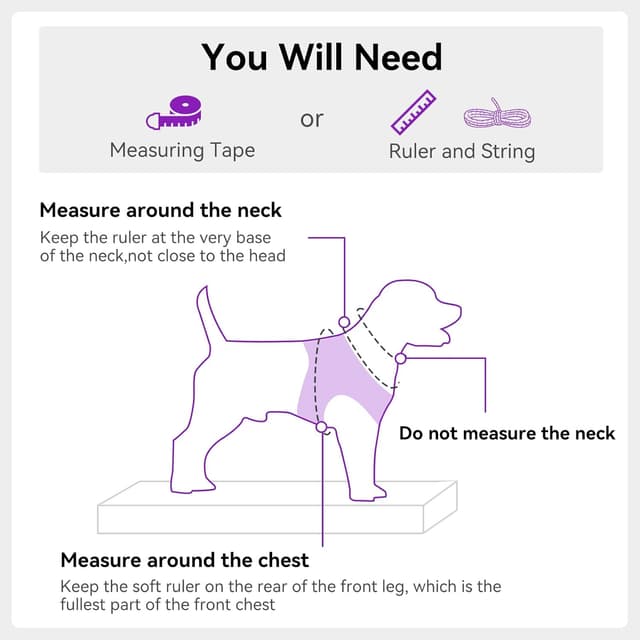 Thumbnail 6 de Joytale Step in Dog Harness (XS, Purple) – soft mesh reflective easy-walk harness for extra small dogs