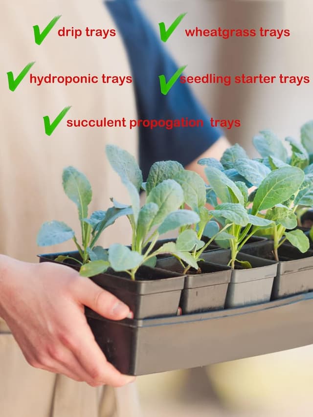 Thumbnail 3 de FUCNEN Plateaux de Semis 39x29x6,5 cm