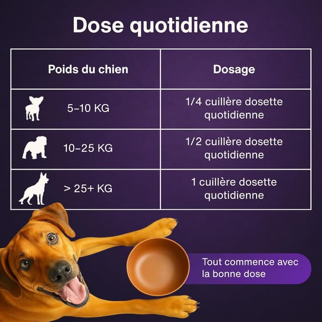 Detalle de Dr. Flex Complexe Collagène & Vitamines B pour chien en poudre 300 g