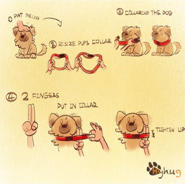 Thumbnail 2 de Hyhug Hundehalsband Schwarz M 30,5–40,6 cm