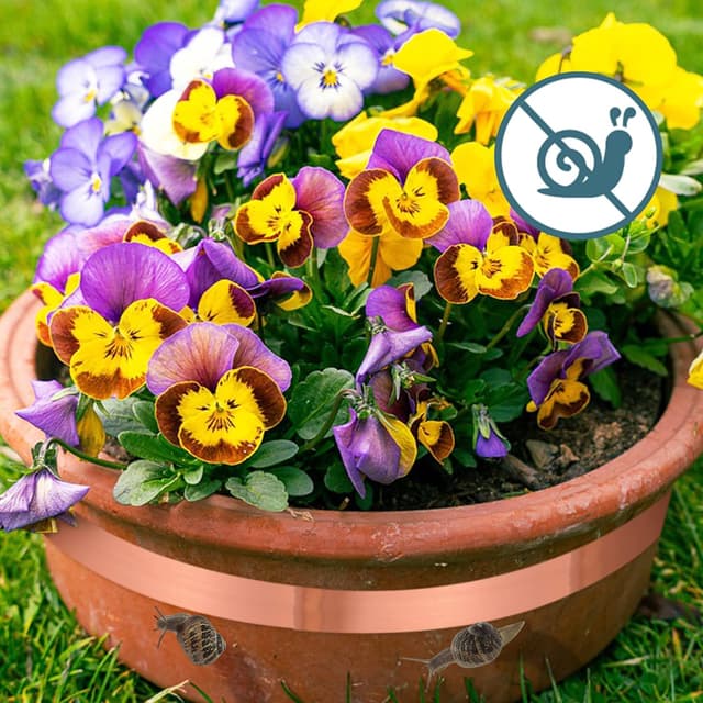 Detalle de Zalava Kupferband 50 mm x 25 m (selbstklebend) für EMI-Abschirmung, Schneckenschutz & Reparaturen