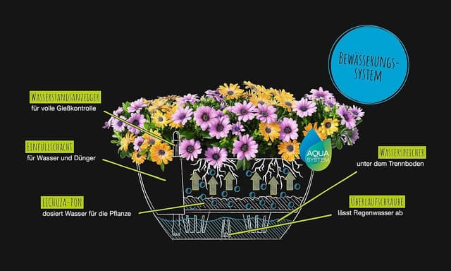 Thumbnail 4 de Lechuza CUBETO Color 30 Komplettset sandbeige