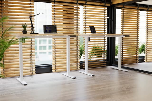 Detalle 2 de FlexiSpot FlexiSpot Schreibtisch 160 x 80 cm