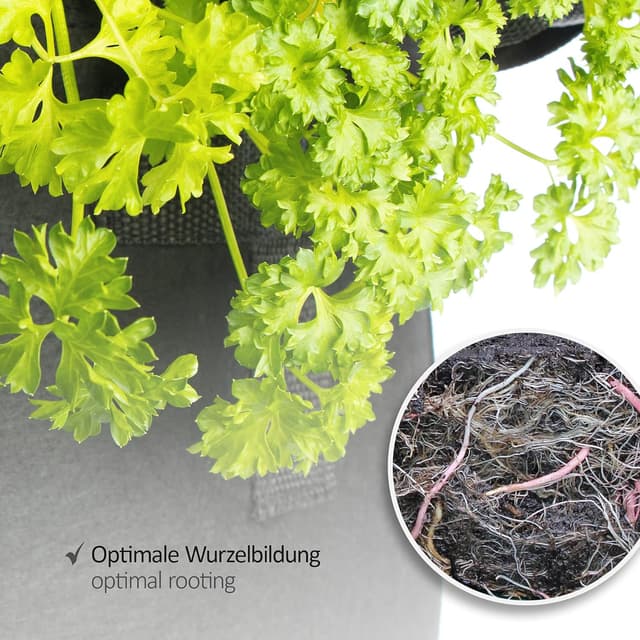 Detalle de com-four® confezione da 5 sacchi per piante da 60 L con manici (nero)