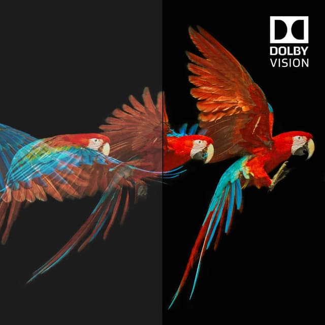 Thumbnail 6 de Belkin HDMI-2.1-Kabel 2,2 m