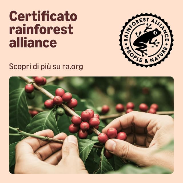 Detalle de by Amazon Home Capsule di Caffè Compostabili compatibili con Nespresso, 100% Arabica Brasiliana, 20 pezzi