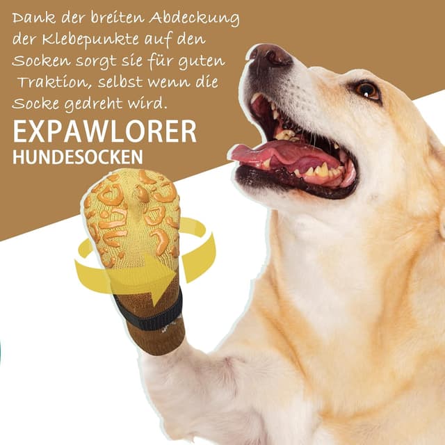 Thumbnail 3 de EXPAWLORER Hundesocken XL Antirutsch