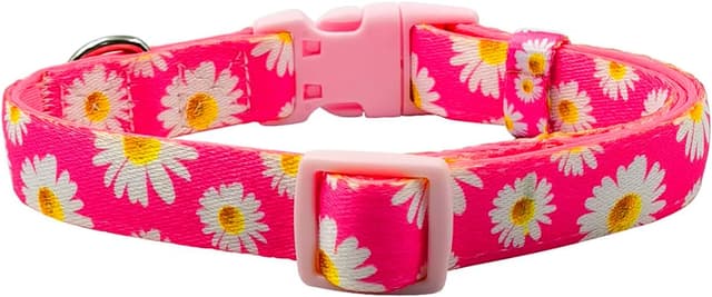 Detalle 2 de Olahibi Basic Dog Collar (S) Padded Neoprene Polyester Webbing with Daisy Pattern