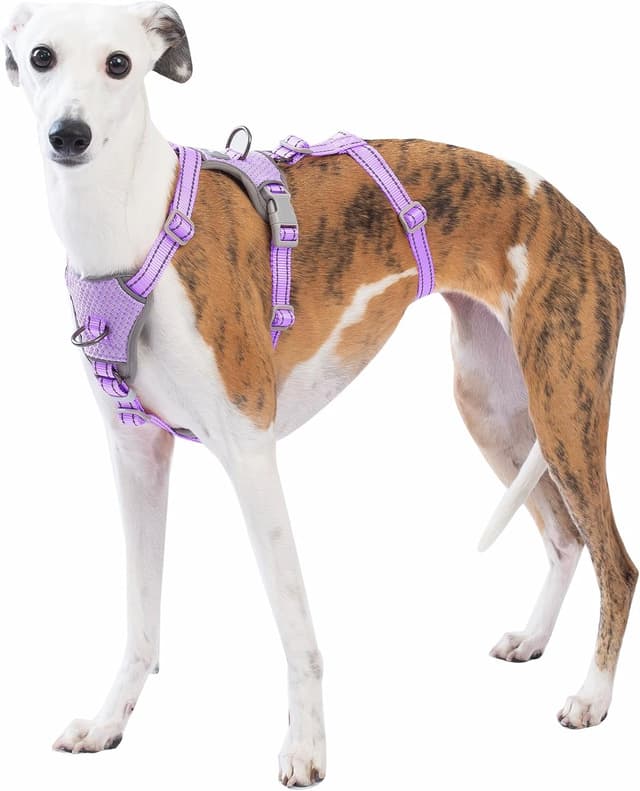 Detalle de Huntboo Harnais anti-fugue réfléchissant pour chien (lavande pourpre, S) – anti-traction réglable