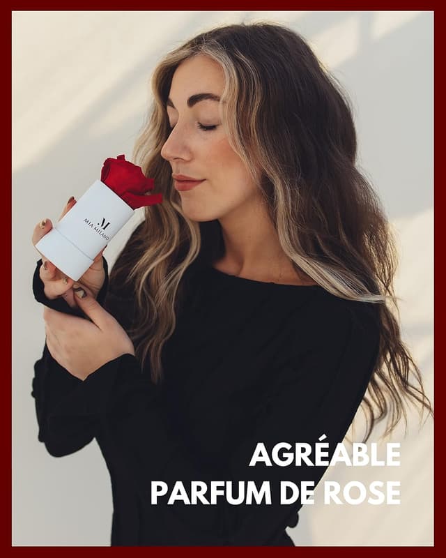 Detalle 1 de Infinity Roses Rouge 9 roses préservées