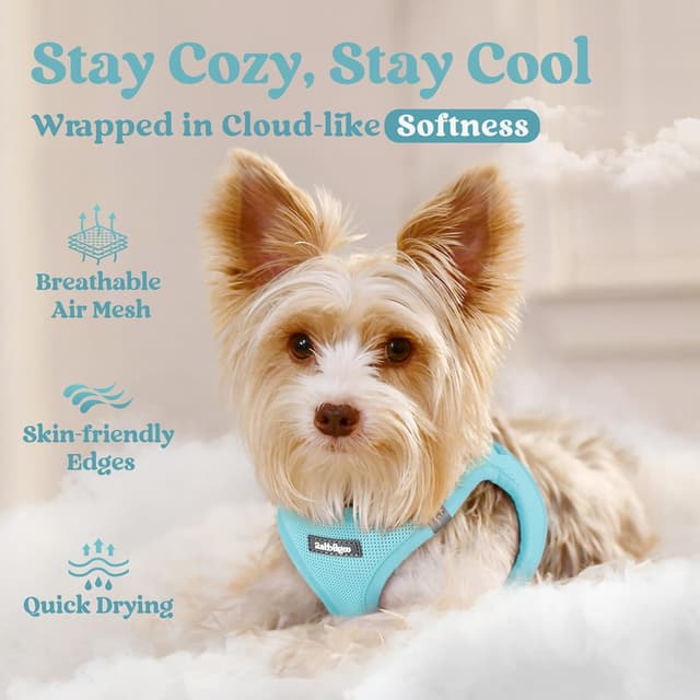 Detalle de rabbitgoo Dog Harness Small Dog Step-in Soft Mesh Puppy Harness (Mint Blue, S)