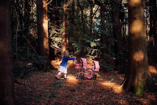 Thumbnail 1 de Roma Darcie Cochecito doble para muñecas, 16 combinaciones 🎎